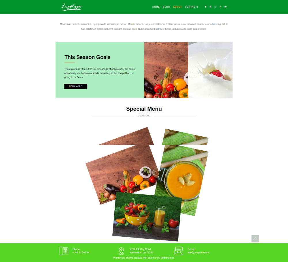 Betta Food wordpress theme - Image 4